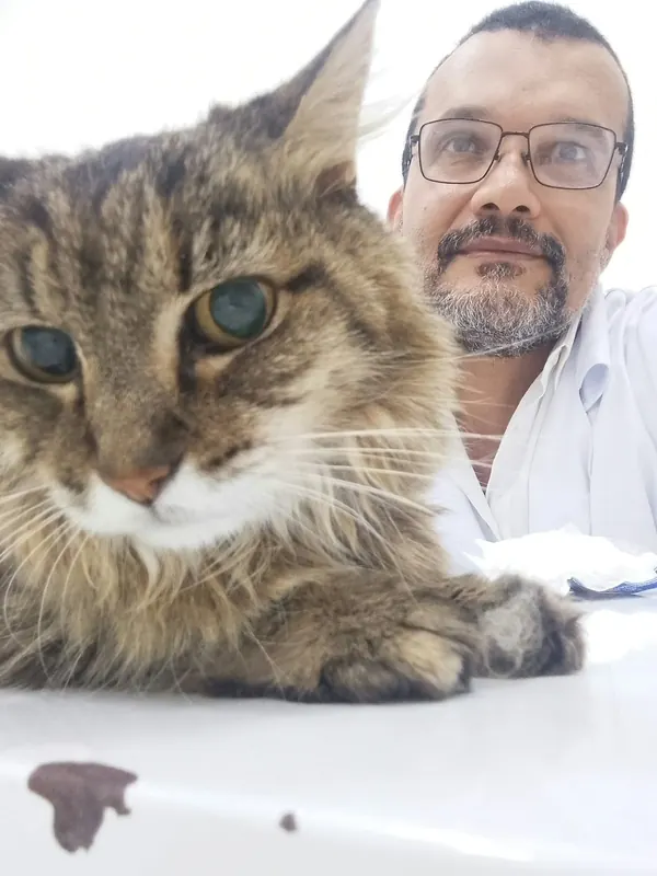 Gato em primeiro plano com o Dr. Ozório ao fundo