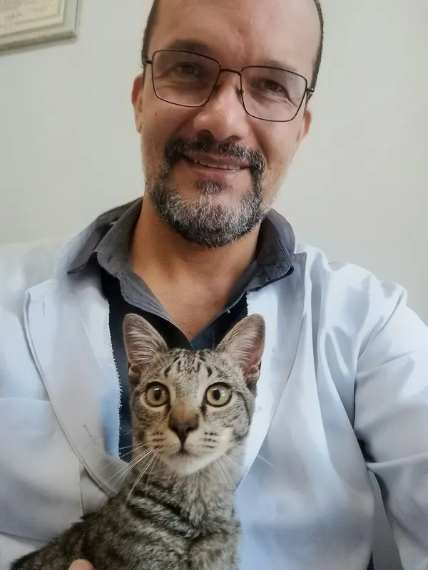 Dr. Ozório com um gato rajado