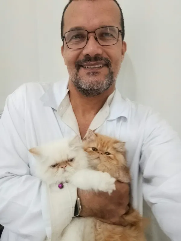 Dr. Ozório segurando dois gatos persas